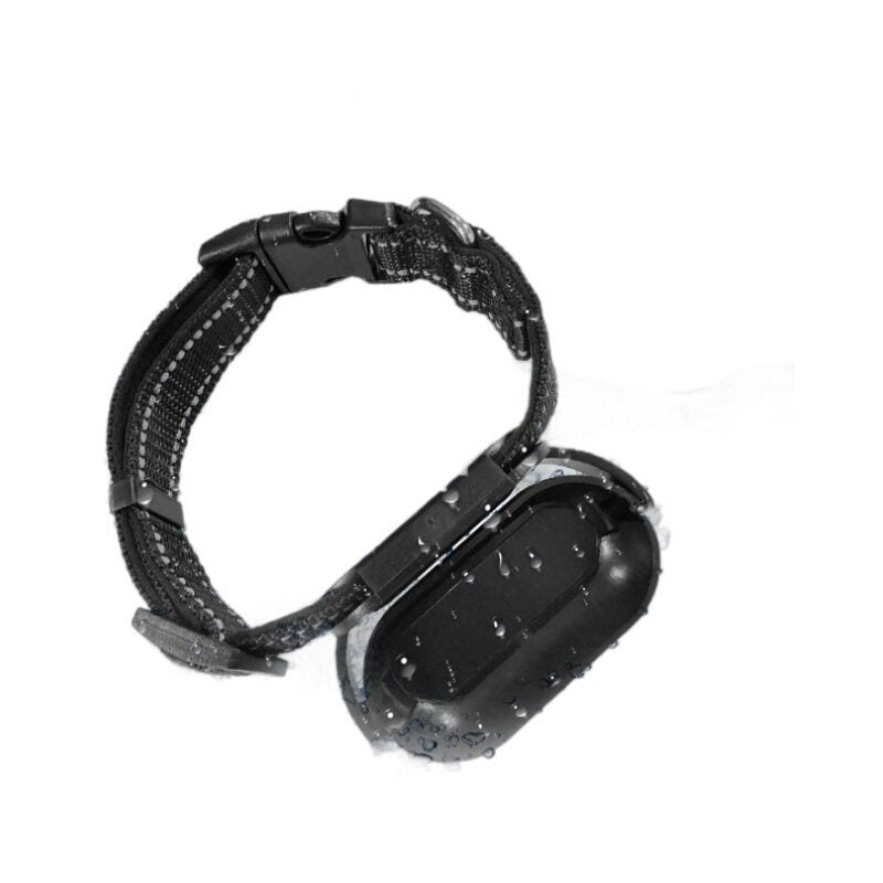 Pet collar mount for small action cameras, main product photo