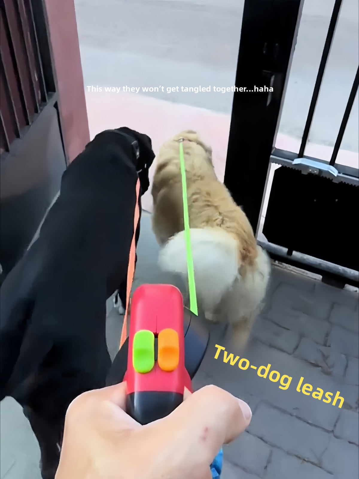 Dual retractable lead for two dogs in 3 colour options