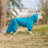 Four leg dog raincoat with tail cover, available in 4 styles, image 3
