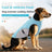 Dog cooling vest with reflective strips in light grey and orange, view 1