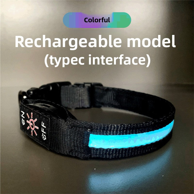 USB rechargeable LED dog collar, main product photo