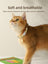 Breakaway cat collar with bell in fresh yellow, product image 3