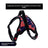 Dog harness and lead set shown in pink, purple and black