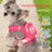 Small breed vest dog harness, 4 sizes plus lead-only option