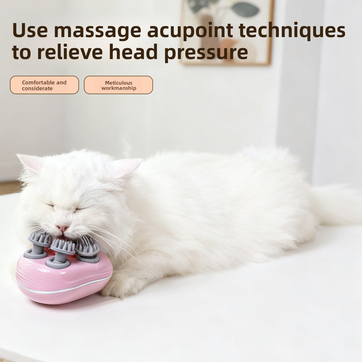 Rechargeable Electric Head Massager for Dogs and People