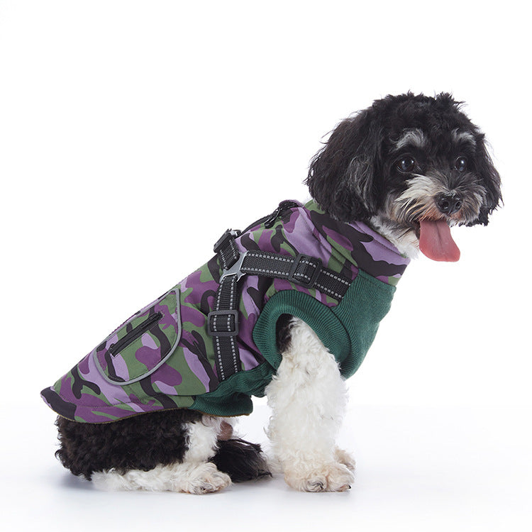 Waterproof padded British style dog winter coat in Blue, in use with a pet