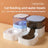 Elevated Double or Triple Pet Food and Water Bowl with Anti-Spill Base for Cats and Dogs