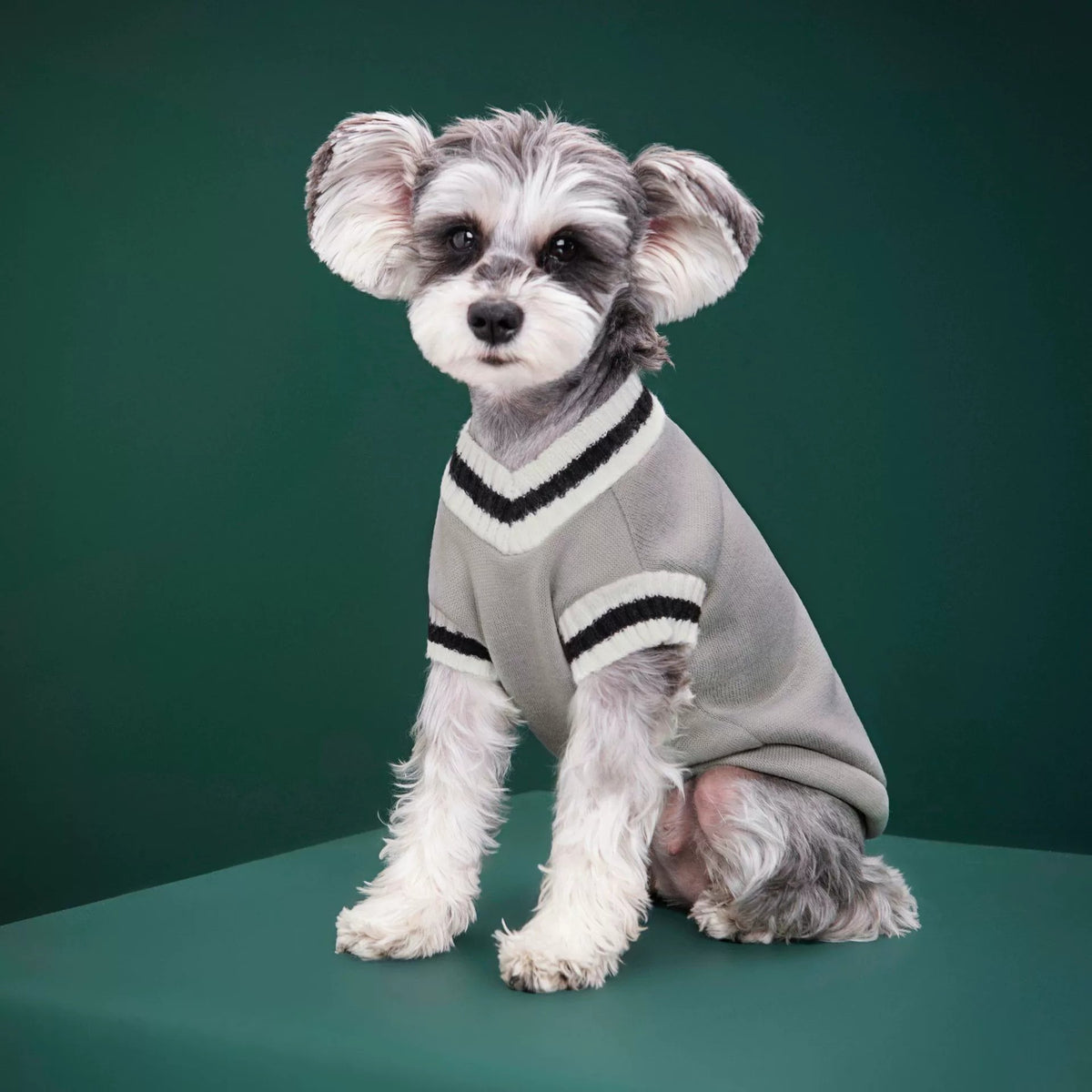 Knitted preppy V-neck pet jumper vest in V-Neck Yellow, side view