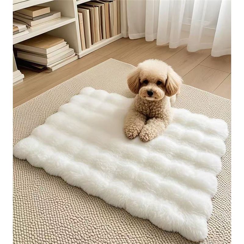 Matcha green crate pad for cats and small dogs