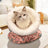Warm enclosed cat sleeping bag bed, main product photo