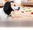 Dog ear muffs with adjustable straps, available in 2 colours, image 12