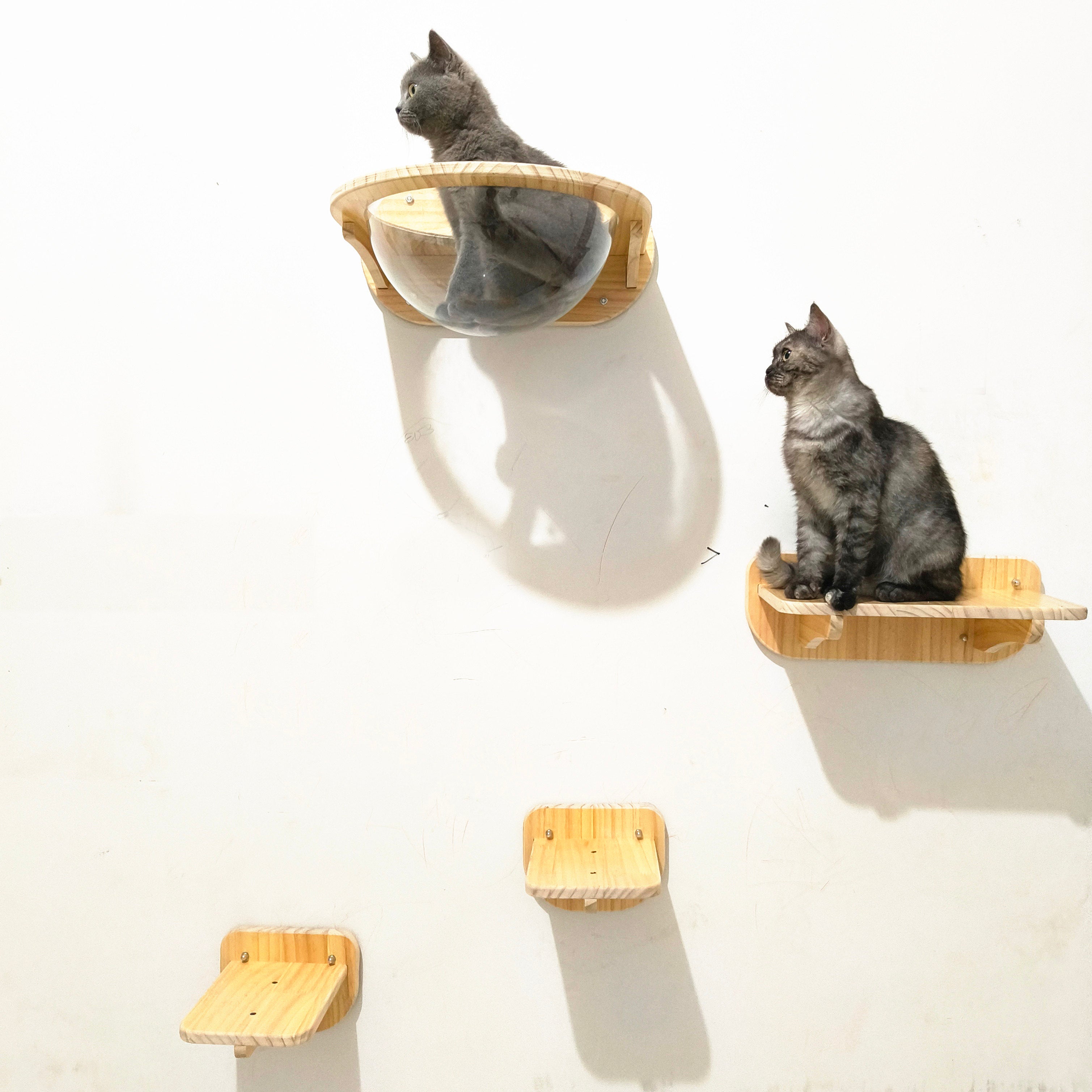Wall-mounted solid wood cat climbing space capsule module, photo 13