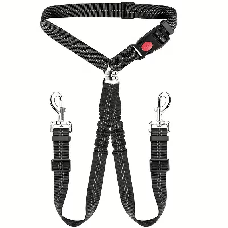 Elastic dog car safety lead, close-up detail view