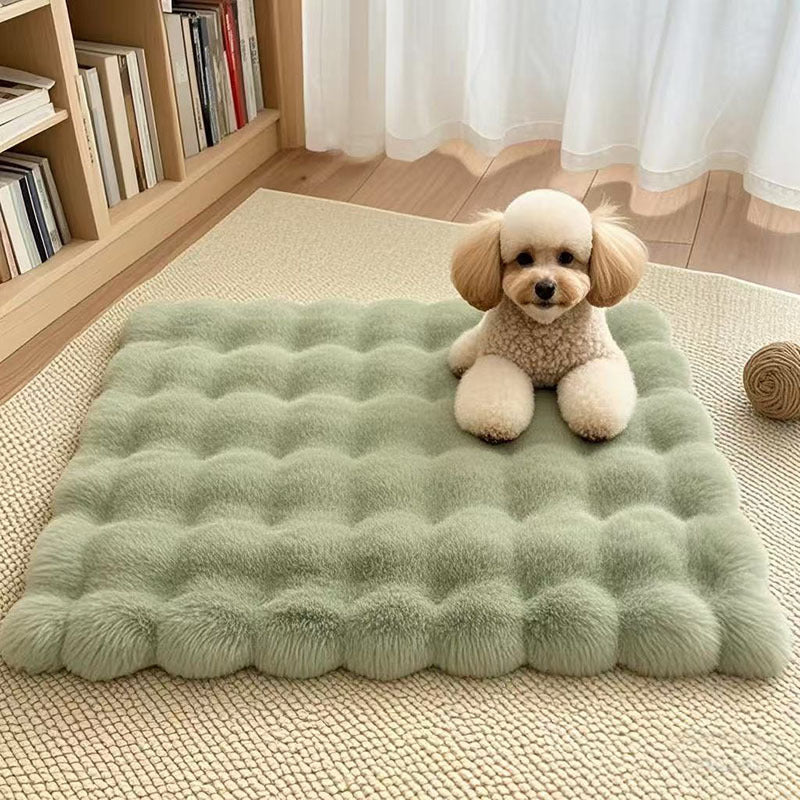Matcha green crate pad for cats and small dogs