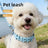Personalised silicone pet collar with letters, main product photo