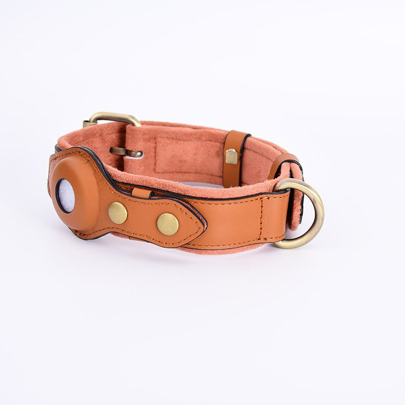 Suede finish dog collar with tracker tag holder in brown
