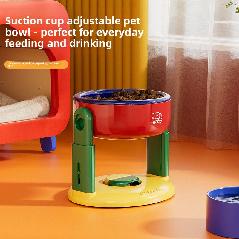 pet feeding bowl