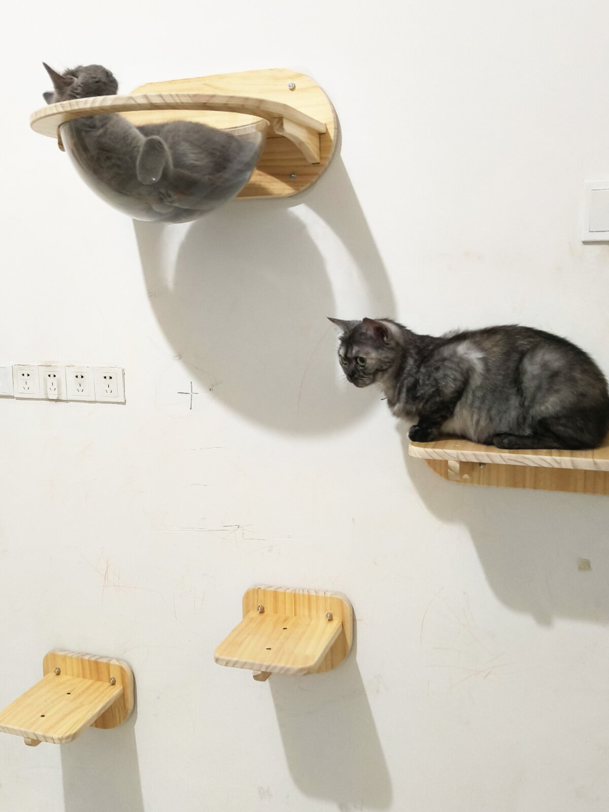 Wall-mounted solid wood cat climbing space capsule module, photo 2