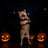 Glow in the dark bat wings costume for cats and dogs, in Black, image 2