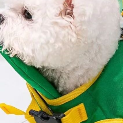 Small dog swim vest life jacket in yellow with wings, view 4