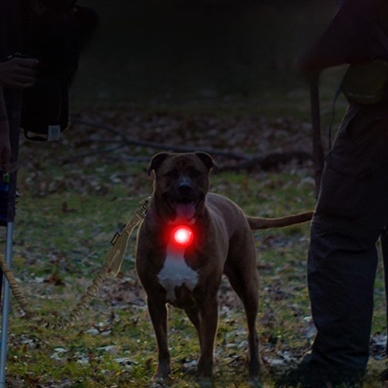 Rechargeable clip-on LED dog collar light, detail photo 4