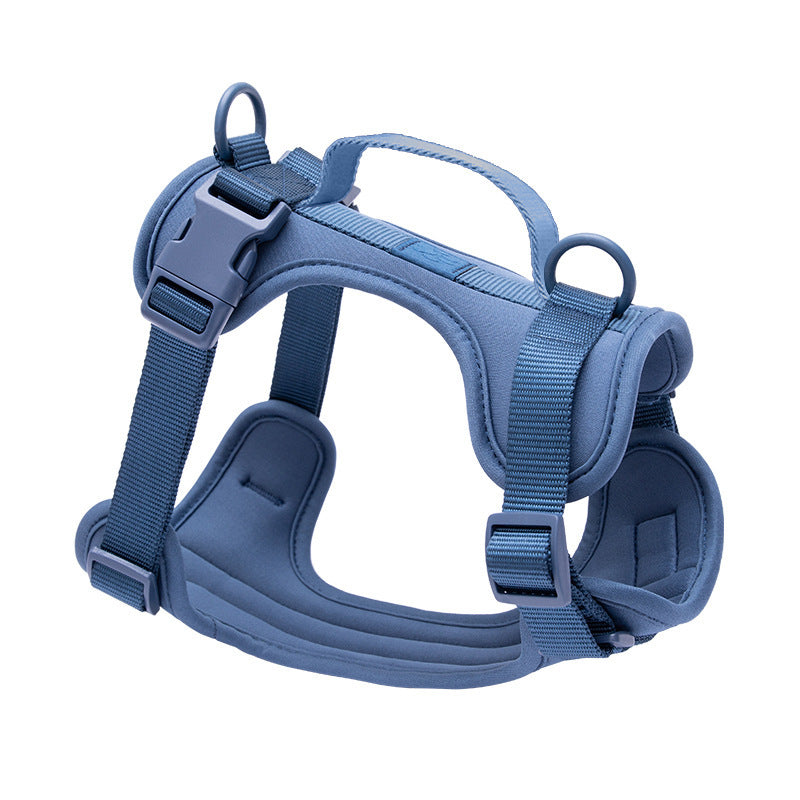 PVC dog harness lead and collar set in bright colours, ideal for everyday use