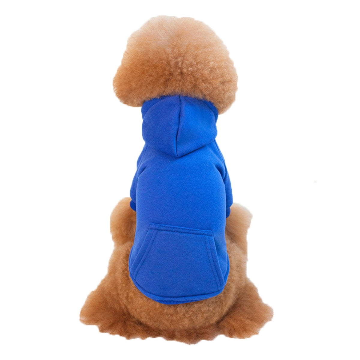 Small dog in a navy fleece lined hooded sweatshirt