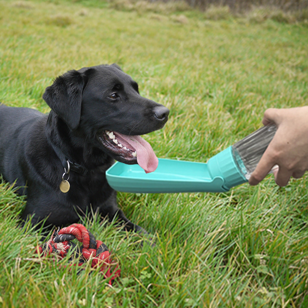 550ml dog walking water cup in Emerald, front view