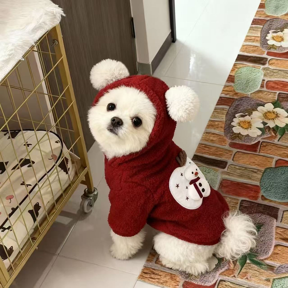 Small dog in a Christmas snowman faux lambswool jacket