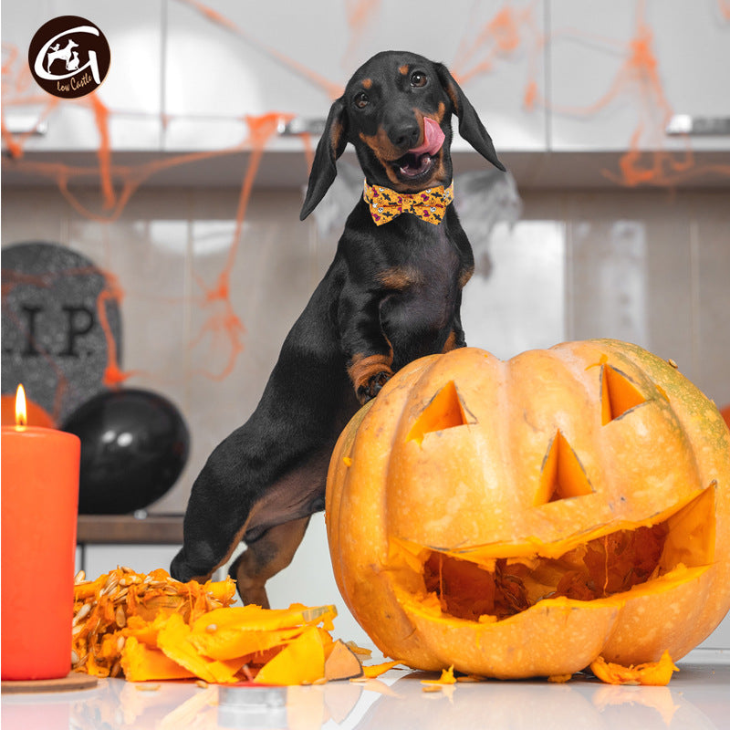 Halloween fabric dog collar with pumpkin print in Purple Pumpkin, close-up detail