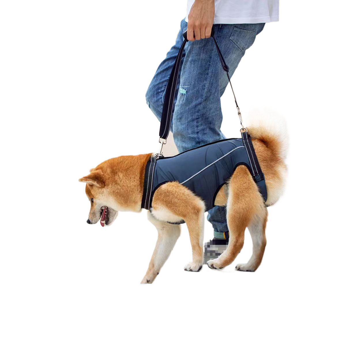 Front and rear lift support harness for senior dogs in navy