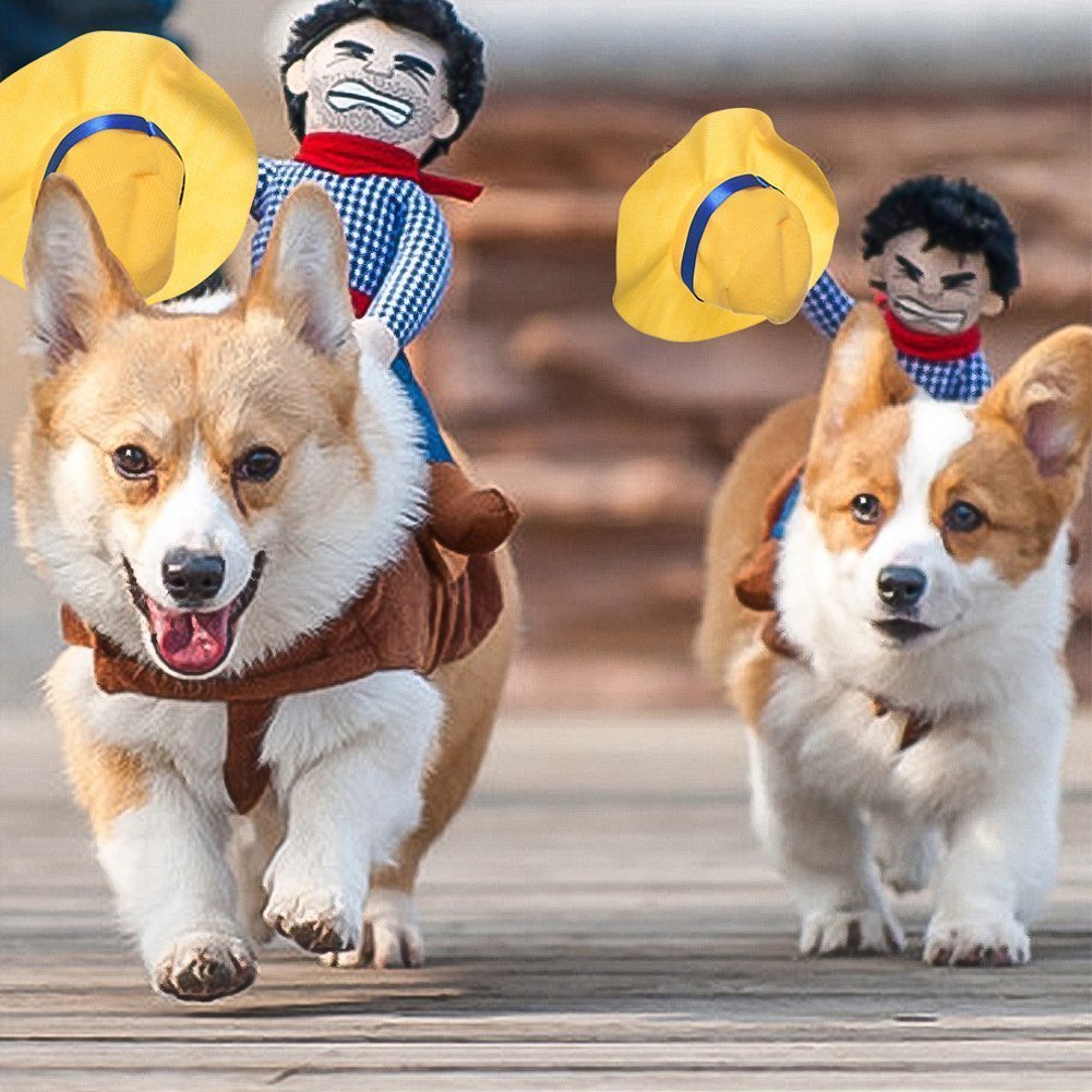 Horse rider costume for dogs with adjustable straps, material detail