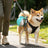 Round stainless steel pet water bottle