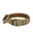 Tactical nylon dog collar with metal buckle in outdoor colours, everyday lifestyle shot