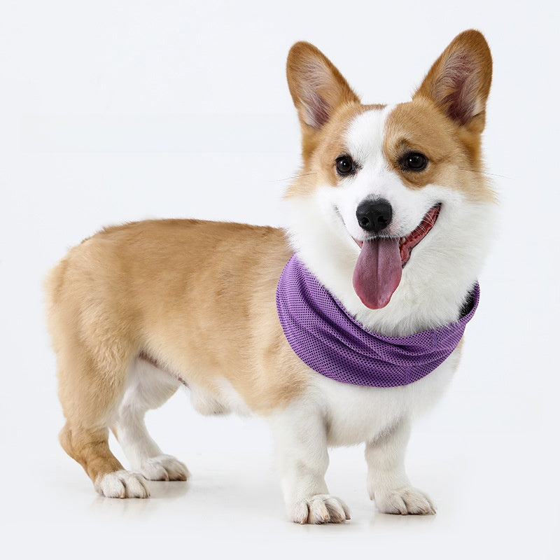 Cool touch cooling scarf for dogs and cats, available in 9 colours, image 30