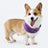 Cool touch cooling scarf for dogs and cats, available in 9 colours, image 30