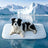 Light blue soft-touch pet bed mat with anti-slip base, photo 10