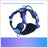 Reflective gradient dog harness in cyan blue with matching lead