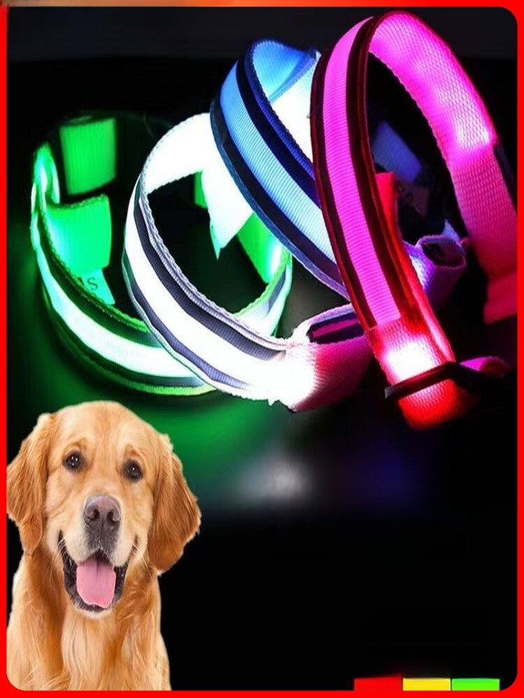 Light up dog collar with reflective strip glowing at night, product image 5
