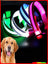 Light up dog collar with reflective strip glowing at night, product image 5