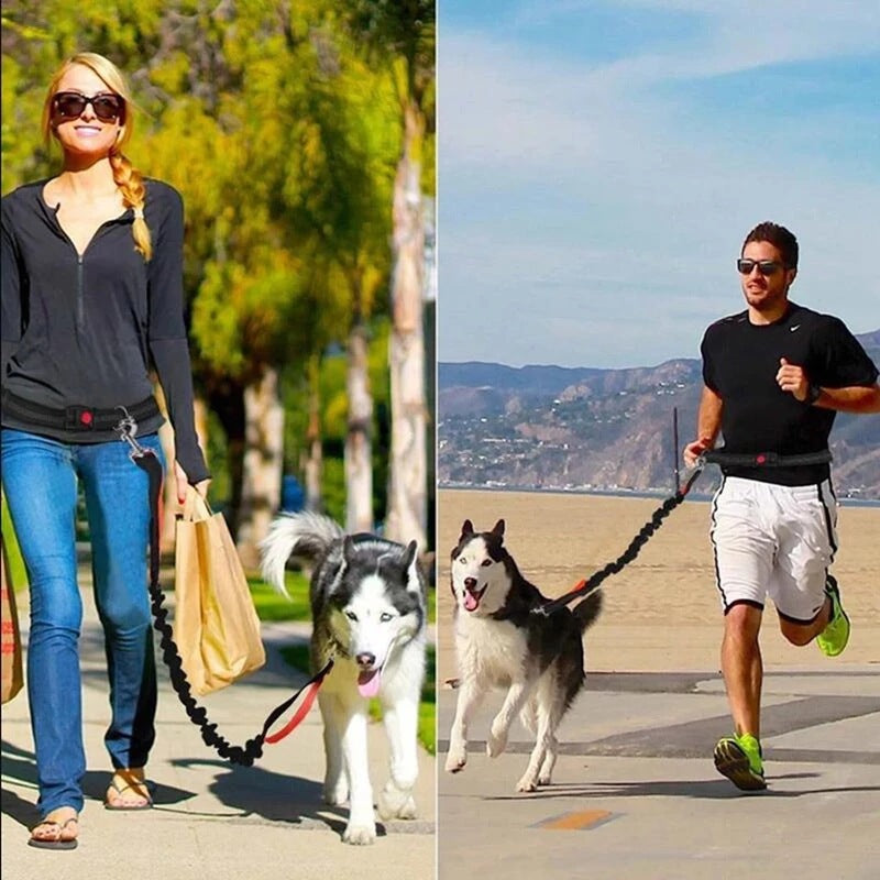 Hands-free bungee lead with two handles, ideal for runs and hikes