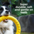 EVA dog training toys pull ring frisbee and ball - photo 1