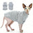 Hairless cat wearing a grey striped belly cover top