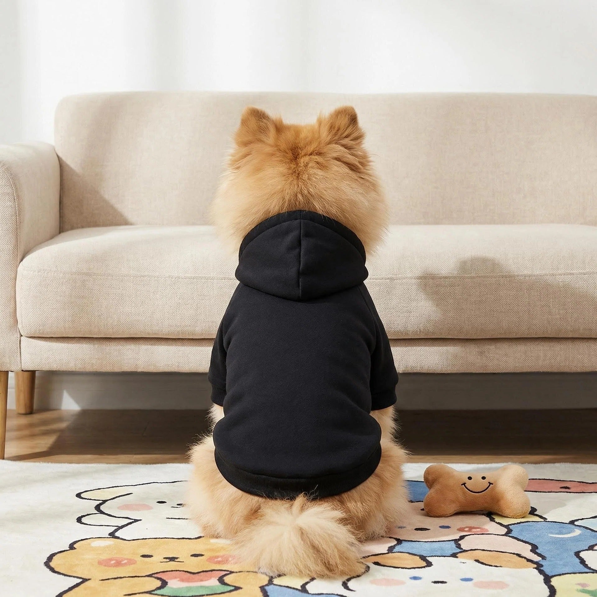 Lightweight Dad print pet hoodies shown in five colours