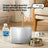 Automatic Ceramic Pet Water Fountain with Silent Pump and Filter Sponge for Cats