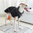 Lightweight warm dog winter coat in Grey, close-up detail