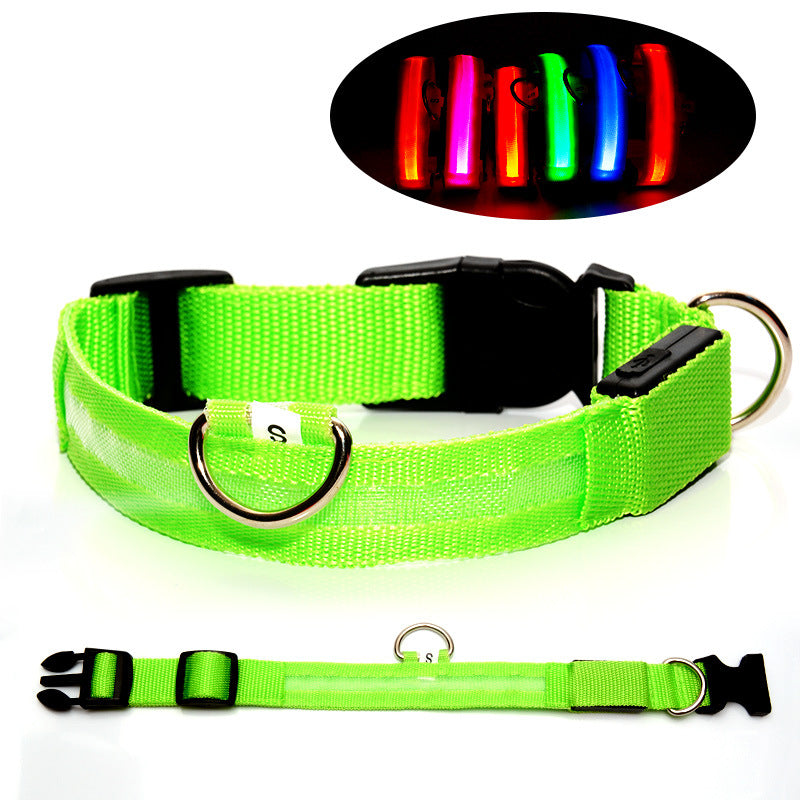 LED light up dog collar glowing green at night