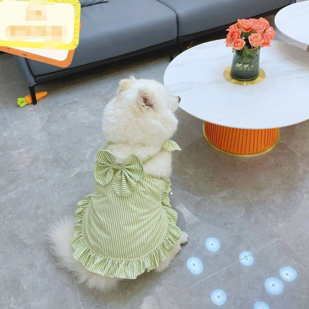 Striped summer dress for large dogs, available in 3 styles, image 6