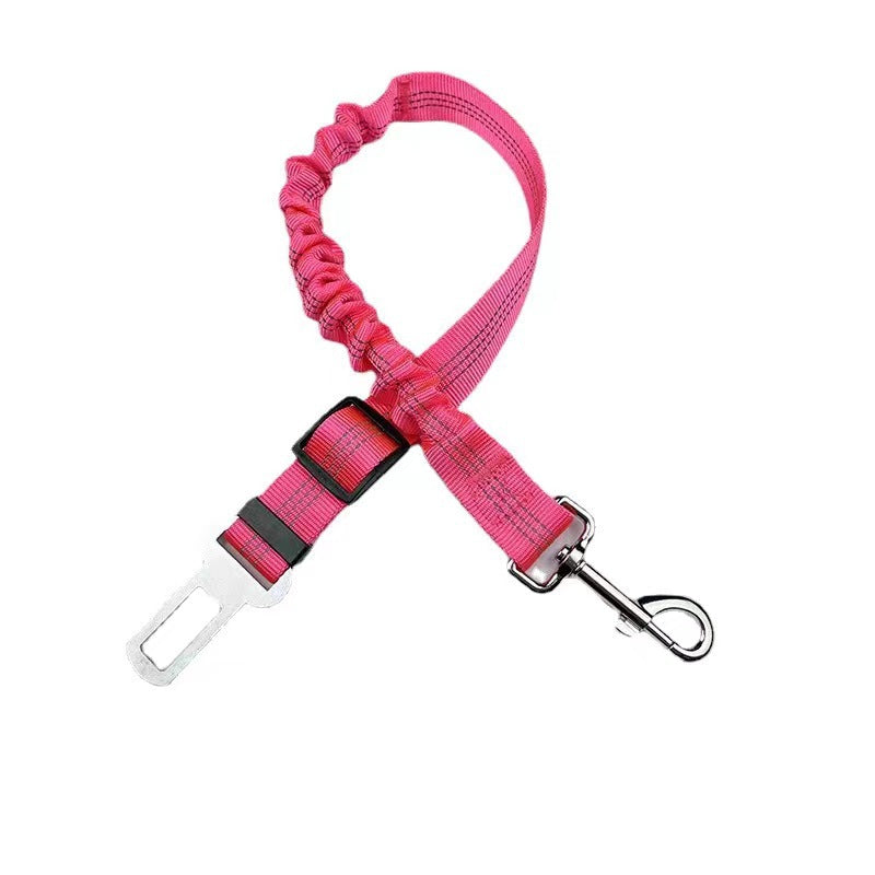 Short elastic dog lead and car seat belt, close-up detail view