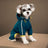 Small dog in a yellow hooded reflective four leg raincoat